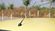 Black Glass Fiber Mast Car Roof Antenna For The Radio Fit VW Peugeot Citroen supplier